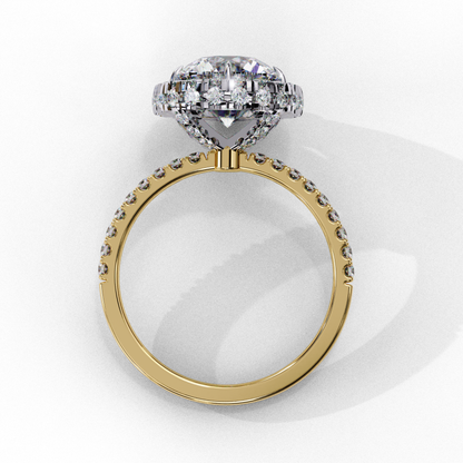 Rear View Of A Round Halo Diamond Ring In Yellow Gold
Back Profile Of A Yellow Gold Round Halo Diamond Ring
Yellow Gold Round Halo Diamond Ring Rear Angle
Back View Of A Round Brilliant Halo Diamond Ring
Round Halo Diamond Ring Showing Yellow Gold Shank
Elegant Rear Profile Of A Halo Diamond Ring
Yellow Gold Halo Diamond Ring With Pavé Band Back View
Luxury Round Halo Diamond Ring Rear Design
Fine Jewelry Round Halo Ring From The Back
Round Halo Diamond Ring Featuring A Yellow Gold Band Rear View